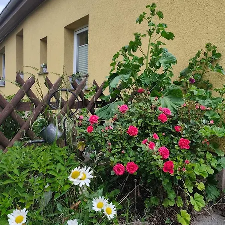 Tu Hus Bei Faber - Milo -