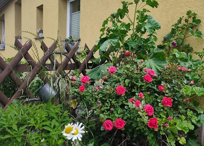 Tu Hus Bei Faber - Milo -